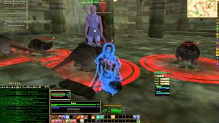 Information Everquest 2 Levelling My Wizard - 2nd attempt at Rat queen (vermins) didn't go so well :/ News