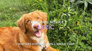 Lyric  Trick Dog Novice