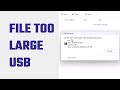 The file is too large for the destination file system usb