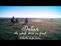Datina - Sa Iubesti Doar Pe Furat | Videoclip Oficial