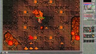 Tibia - Neptera Server - Killing Fire Overlord
