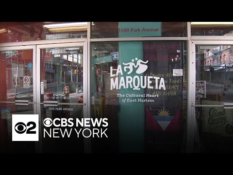 Plan for city-run grocery store in East Harlem draws reaction