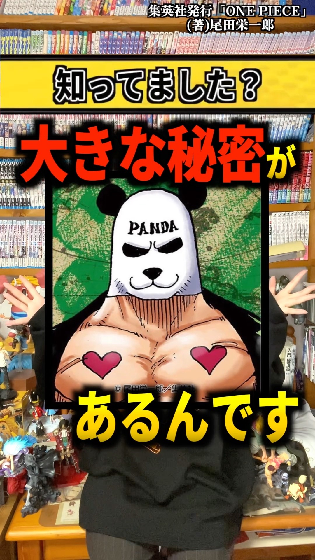 One Piece Spoilers] I seriously figured it out. 355 - YouTube