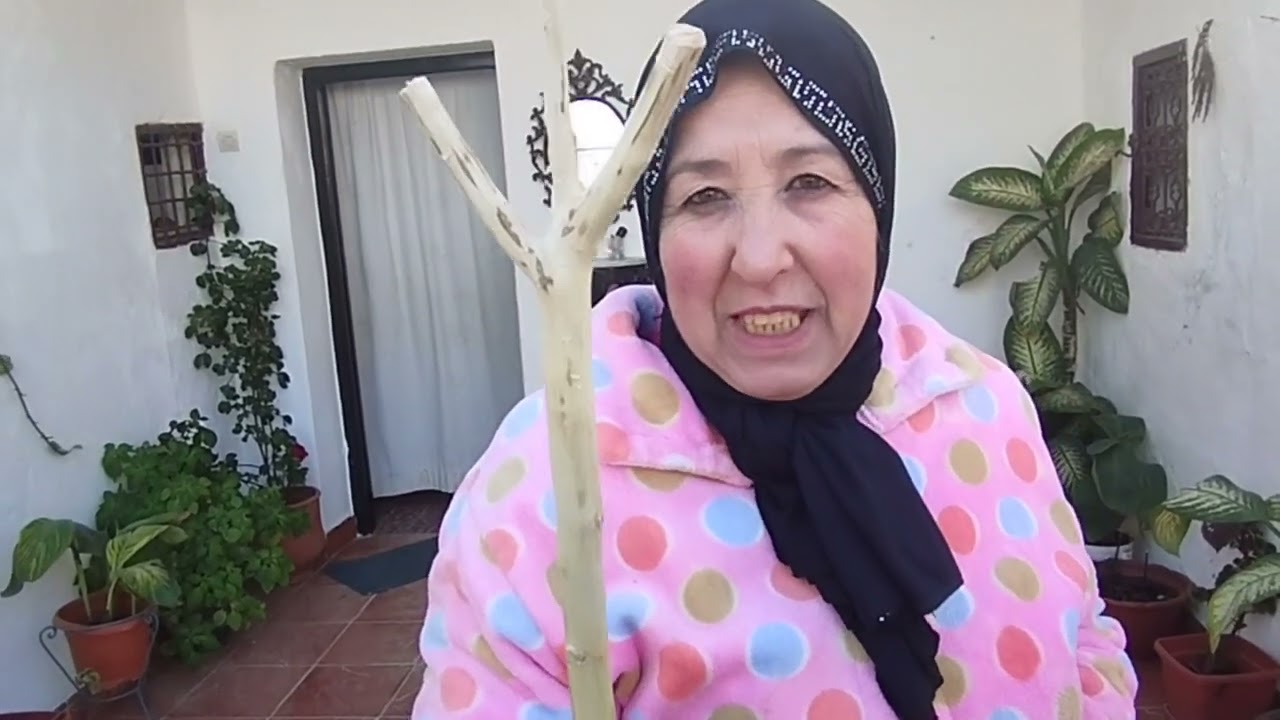 وجدت البيصارة الجبلية على الطريقة التقليدية🧉💚🍵