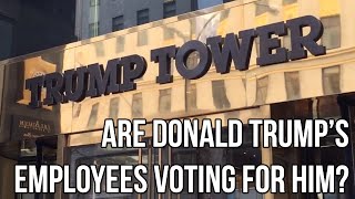 Are Donald Trump's Employees Voting for Him?