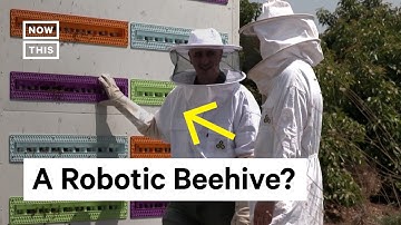 Startup Beewise Creates Robotic Beehive