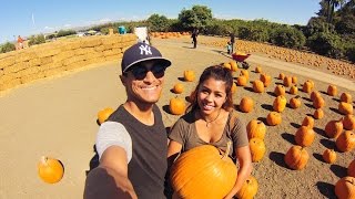 PUMPKIN PATCH & HALLOWEEN SHOPPING!