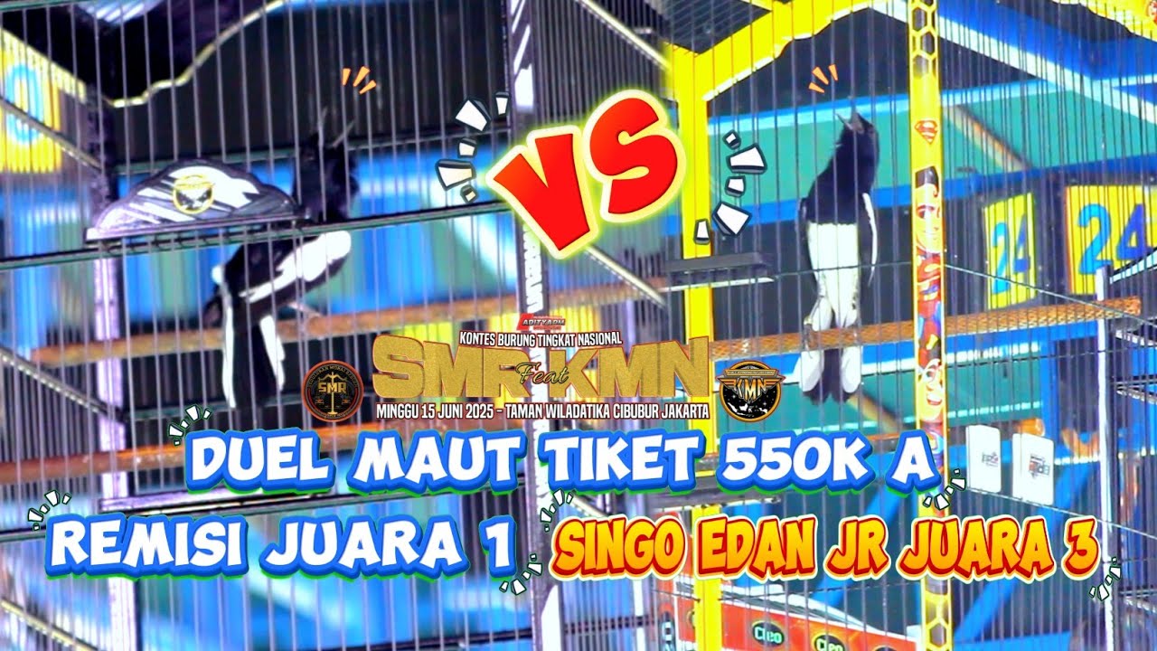 DUEL MAUT TIKET 550K A🔸REMISI VS SINGO EDAN JR🔸IVENT SMR feat KMN🔸REMISI JUARA 1 SINGO EDAN JUARA 3