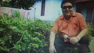 VICO Y SU GRUPO KARICIA - TRISTE NAVIDAD