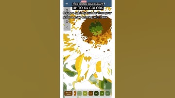 Create color by number from photo & enjoy coloring with PBN+, Free custom coloring app