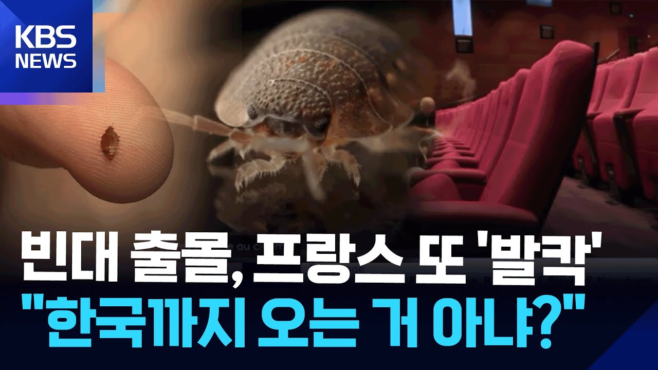 “빈대가 또 돌아왔다” 난리 난 프랑스 / KBS 2025.11.17.