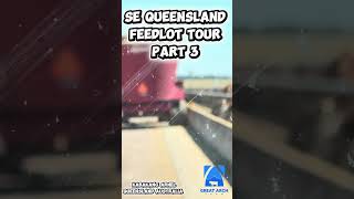 Southeast Queensland Feedlot Tour Part 3