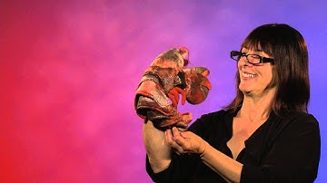 Folkmanis® Lobster Puppet Demo - Retired