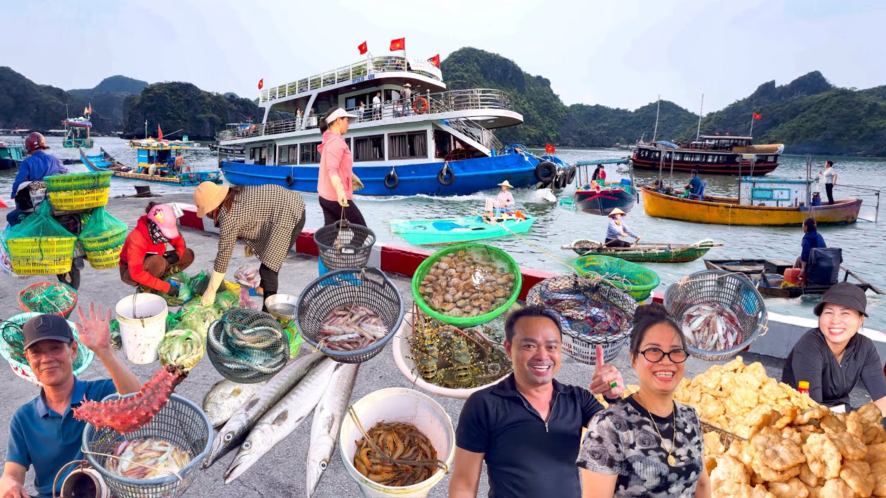 Đảo Cát Bà Lớn Nhất Hải Phòng | Hàng 1000 Năm Tuổi Làng Chài Cái Bèo