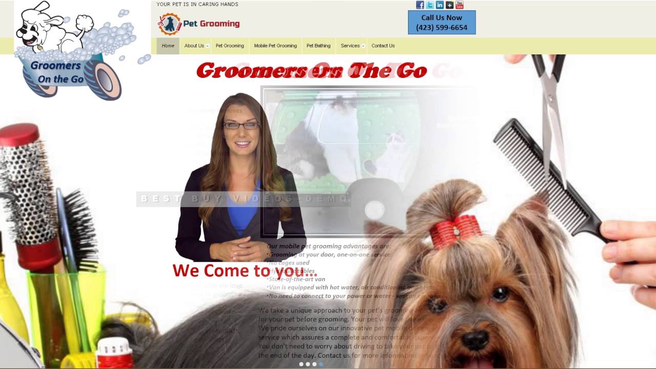 Best Dog Grooming Cleveland Tn  Check it out now 