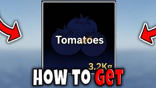 How to GET TOMATOES for OWEN DRIFT QUEST in FISCH Roblox