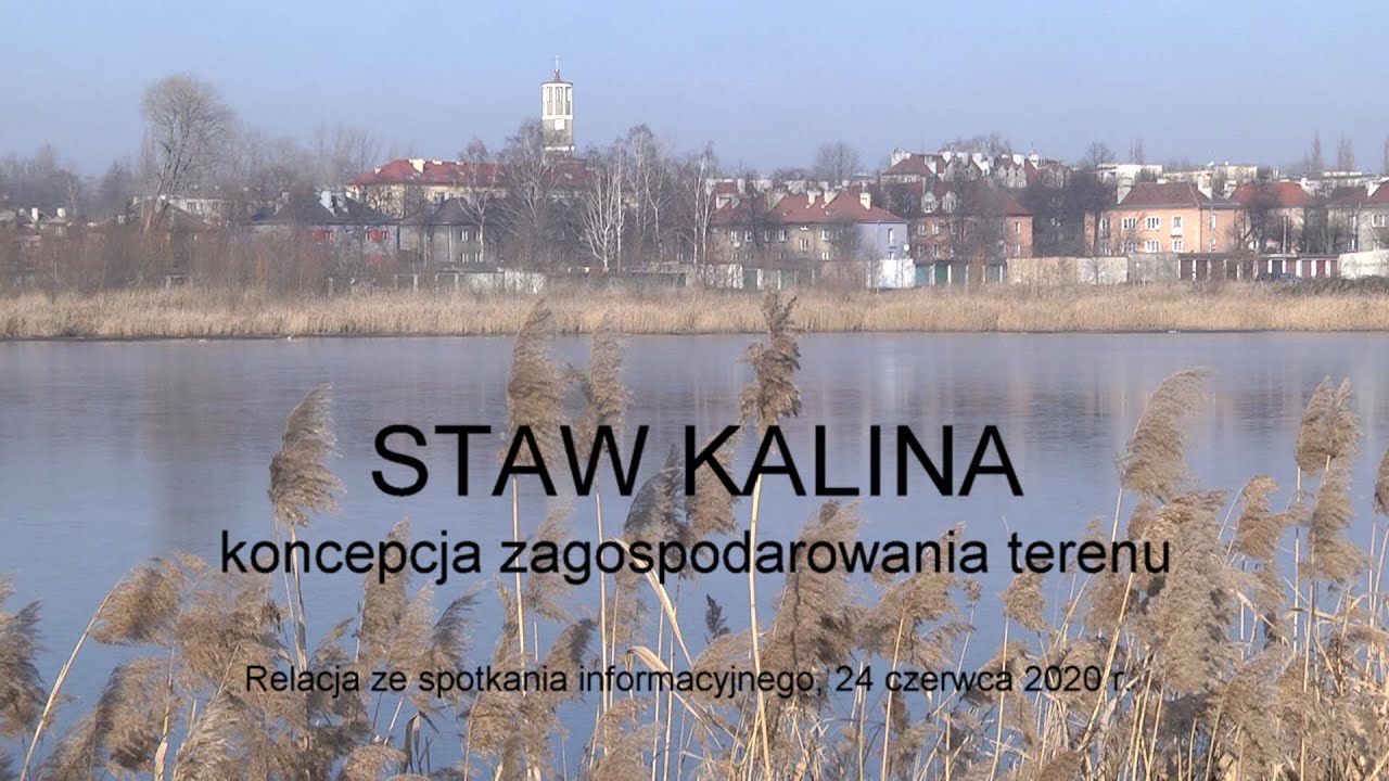 Staw Kalina - koncepcja zagospodarowania terenu
