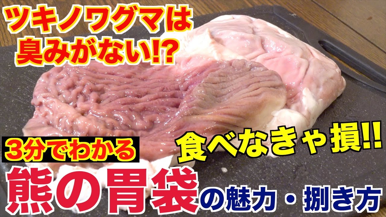 Impact] The stomach of the Asian black bear was too delicious !! I