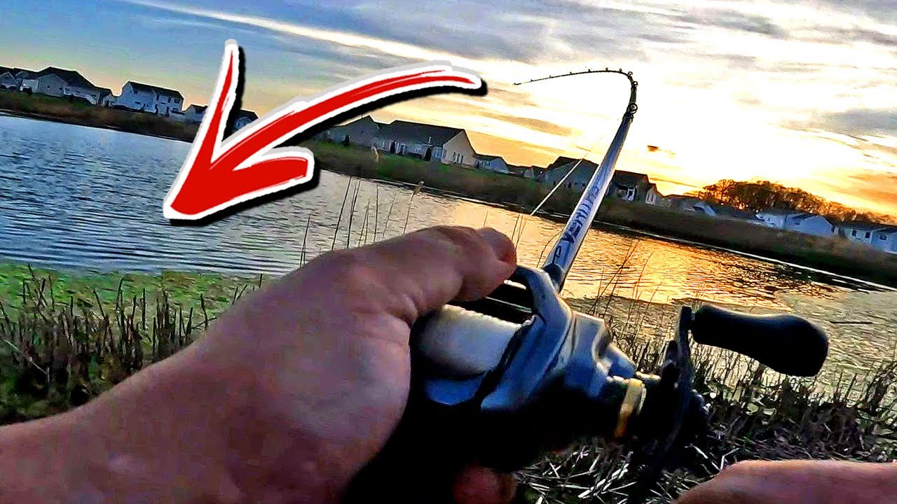 Spring Bass Fishing Spring Bass Fishing