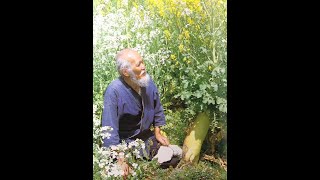 Contemplation, Analysis, or Reflection - Meditation Module 2