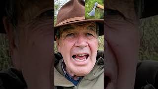 IRON AGE WARRIOR WEAPONS & SKILLS    #history #shortvideo #short