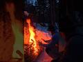 -24°C Survival Shelter #survival #bushcraft #shelter #outdoors #camping