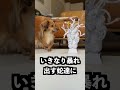 メデューサの髪に毛糸をつければ編み物ができるはず！