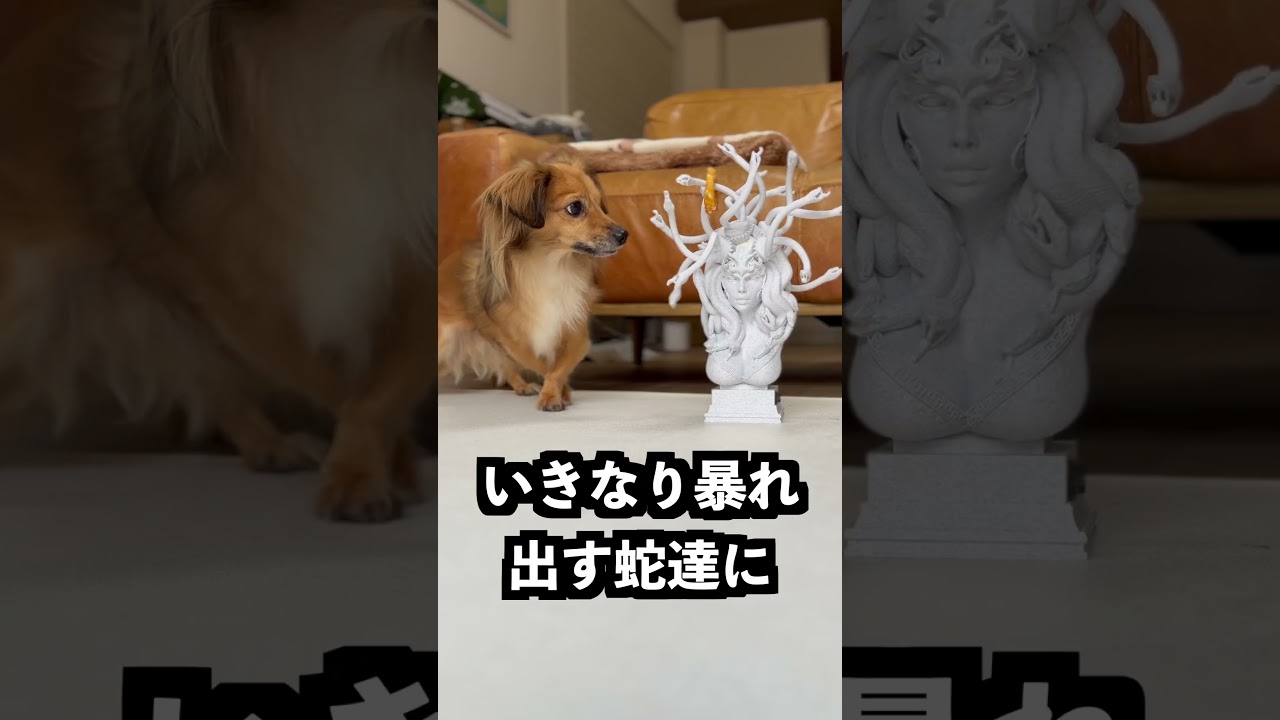 メデューサの髪に毛糸をつければ編み物ができるはず！