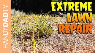 Extreme Lawn Repair