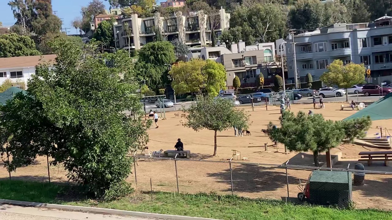 Photo inspiration: Fresh Look at Silver Lake Dog Park Ca