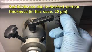 How to Cryosection Zebrafish Retinal Tissue using Leica CM1850 Cryostat