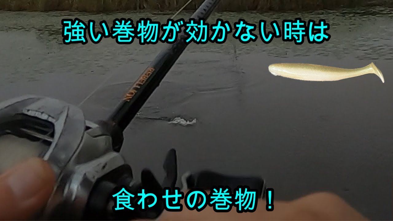【バス釣り】バスに見せて食わせる巻物です