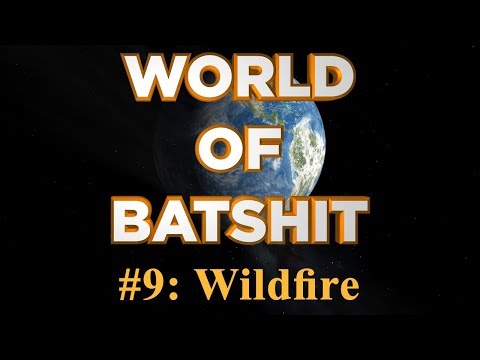 World of Batshit - #9: Wildfire