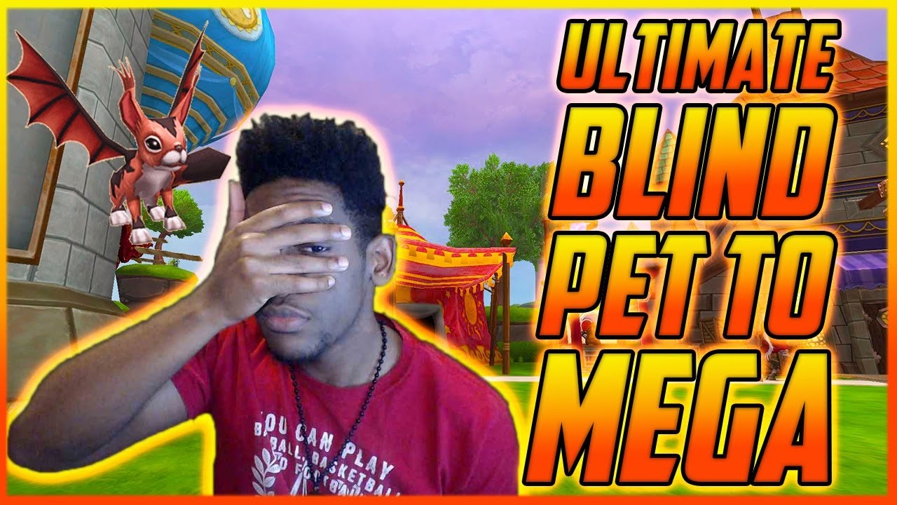 Wizard101:The Ultimate BLIND Pet To MEGA!! (Pet Training)