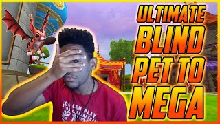 Wizard101:The Ultimate BLIND Pet To MEGA!! (Pet Training)