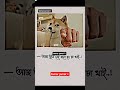 তুমি নাই তাই 🥵🥵#viral #shortsfeed #shorts #status #shortvideo #share #funny #video @Abusayedtube