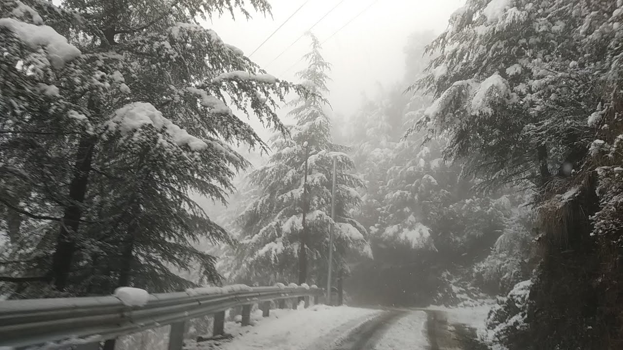 snow fall , Barot valley in Himachal pradesh