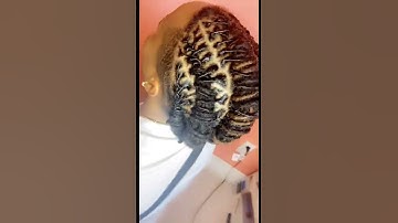 Barrel twists 🪡 #dreadlocks #locs #locjourney #locstyles
