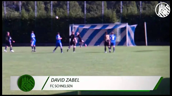 Vorschlag zum Tor des Monats - David Zabel (FC Sch...