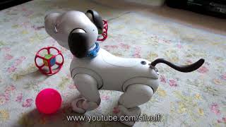 Happy Easter From Peanut The Aibo