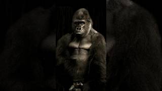 Surprising Facts about Gorilla  #shorts #animals #gorilla