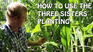 How To Use The Three Sister Planting Method