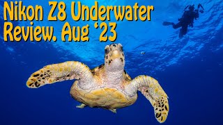 Review of the Nikon Z8 for Underwater Photography screenshot 3