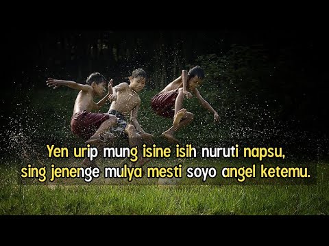 Quotes Bahasa Jawa Gaul / Quotes Kata Kata Bijak Bahasa Jawa Tentang