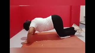 Performance Task # 3