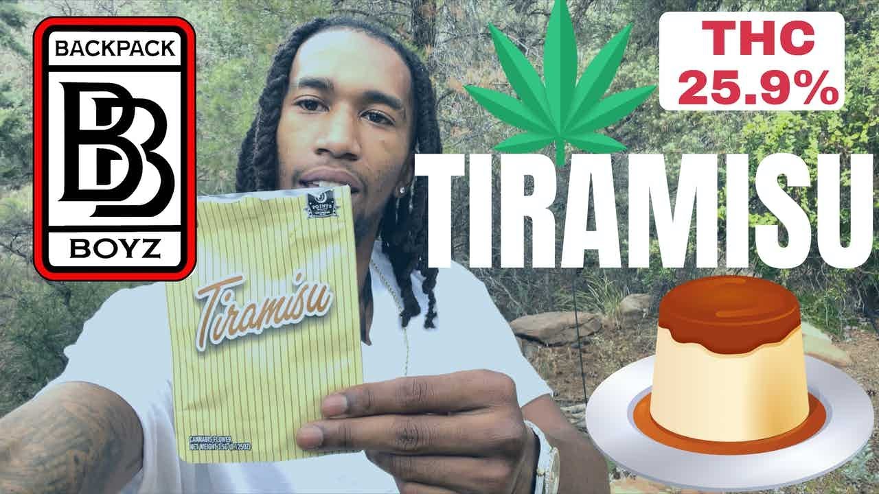 🎒Backpack Boys Tiramisu Strain: Review