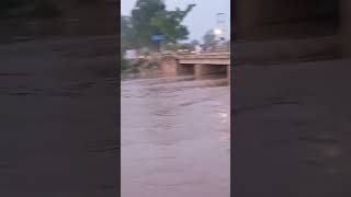 Download Lagu ratia in danger # ghaggar nadi#breakingnews #shortvideo MP3