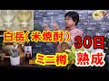 米焼酎 白岳 をミニ樽で 30日間、熟成！