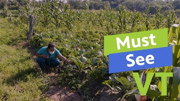 Must See VT: New Farms for New Americans