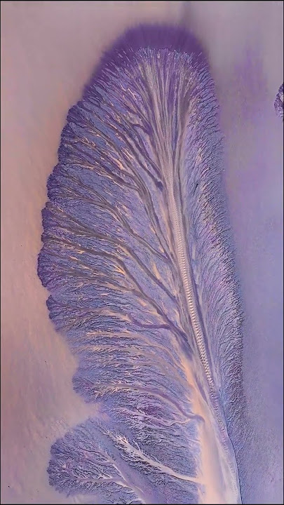 A huge painting of a purple tidal tree in the Qiantang River looks like a feather. The uncanny w